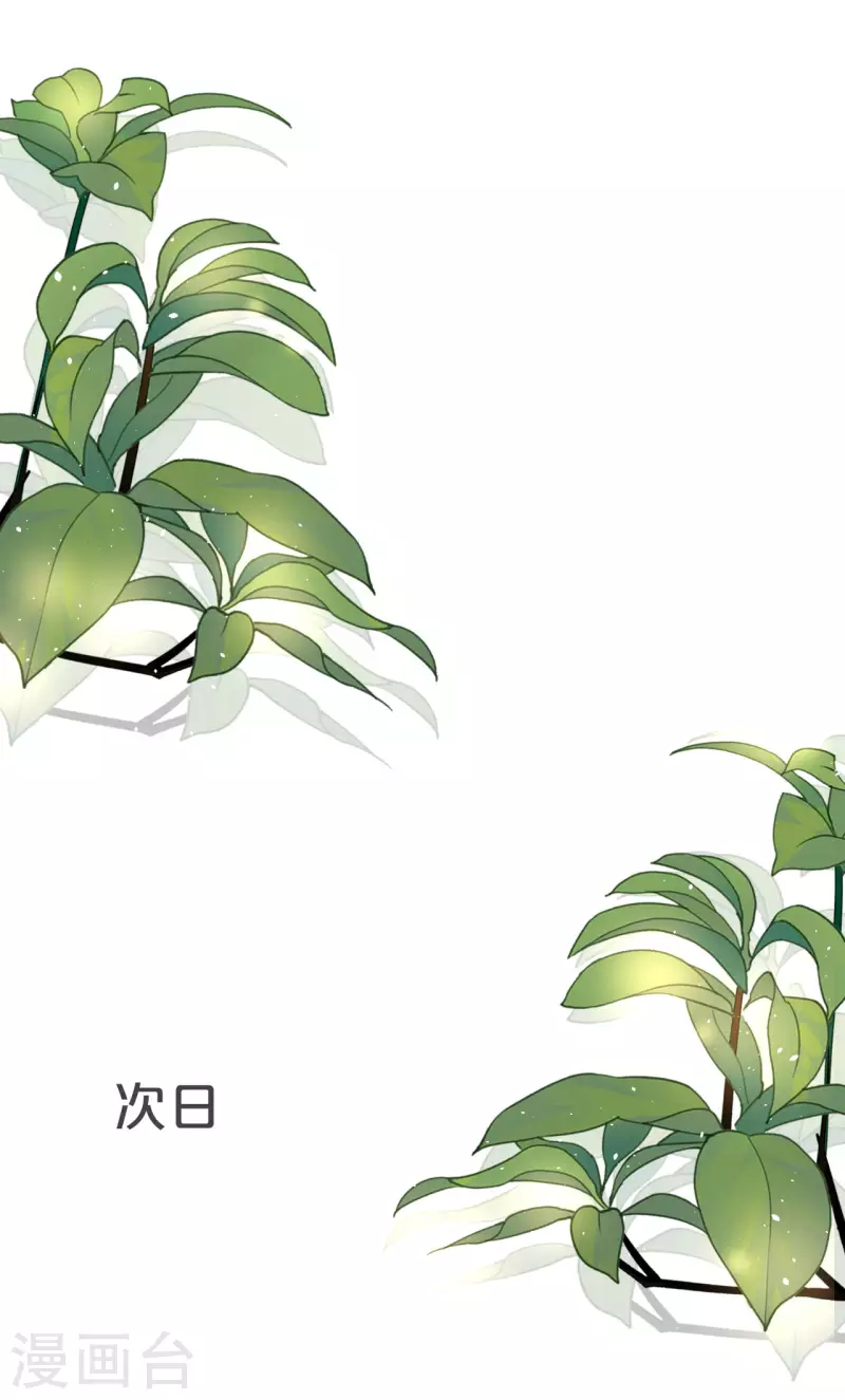 第36话 我是谁？-第41话