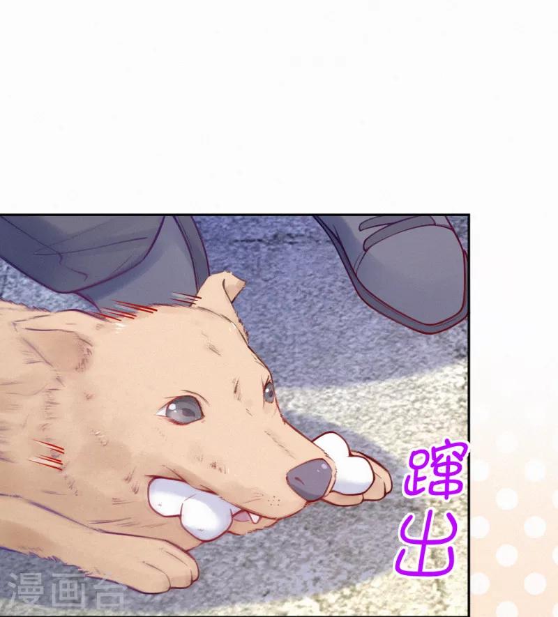 第21话 爹地就应该保护妈咪-第27话