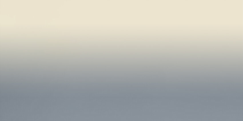 02 武汉战&ldquo;疫&rdquo;图 海外版(1/3)-第15话