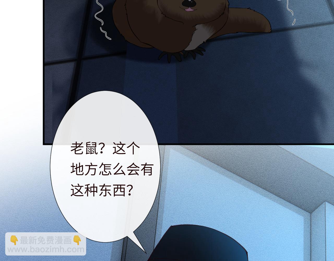 滿級大佬翻車以後 - 第346 逃離基地(1/3) - 4