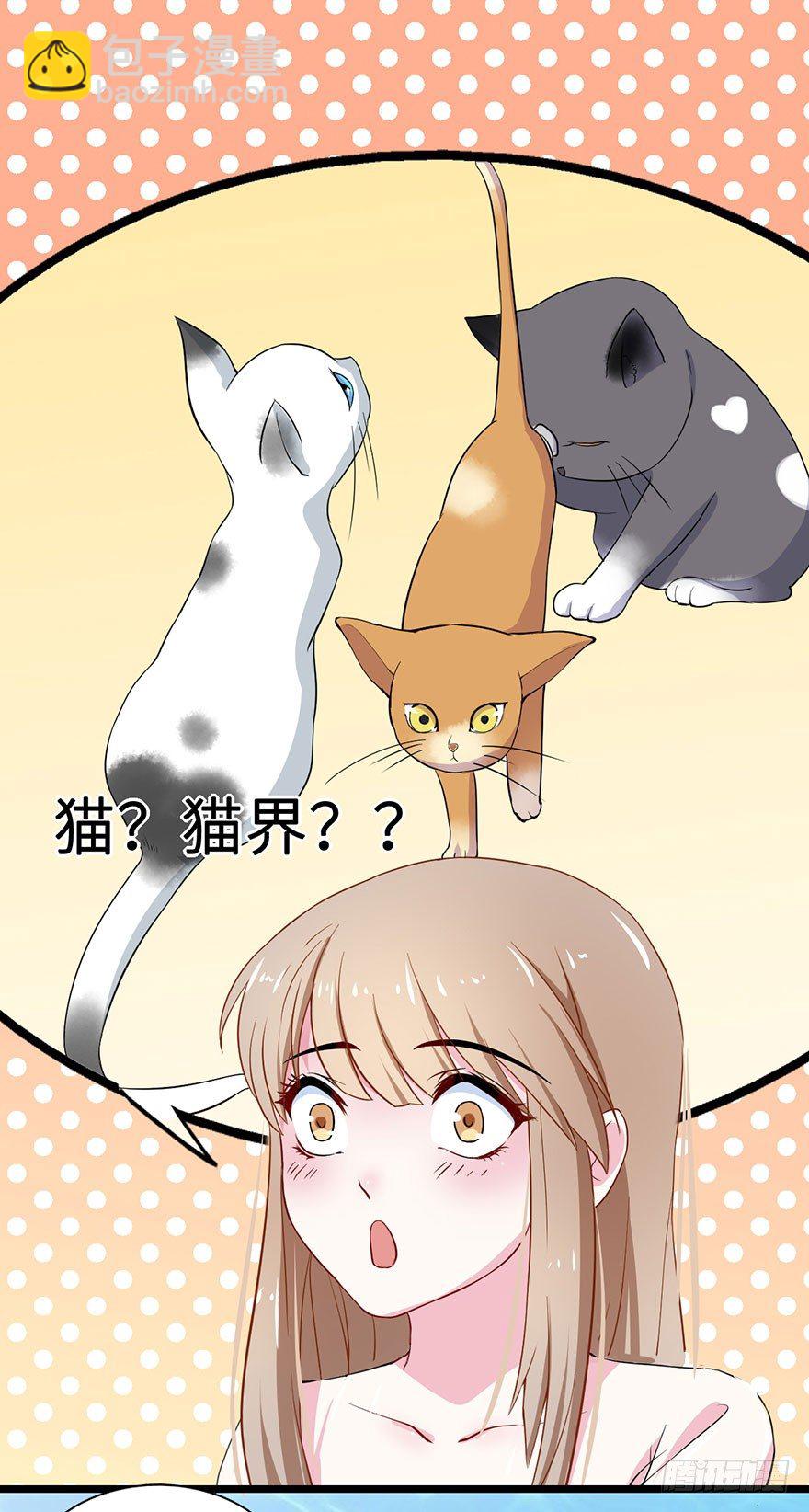 002香气诱猫的美人鱼(1/2)-第3话