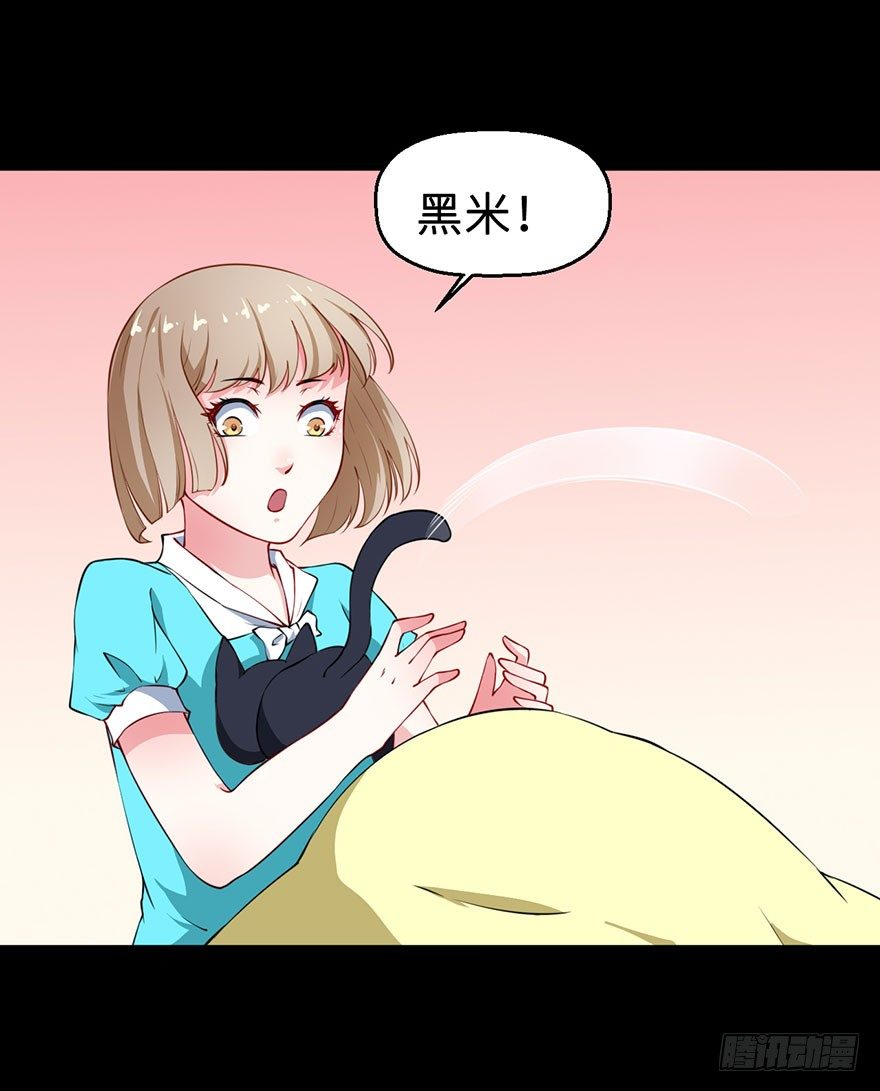 028爱猫不爱人-第29话