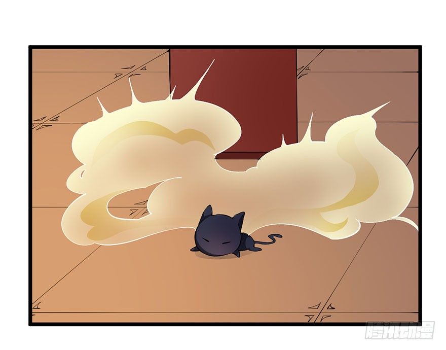 028爱猫不爱人-第29话