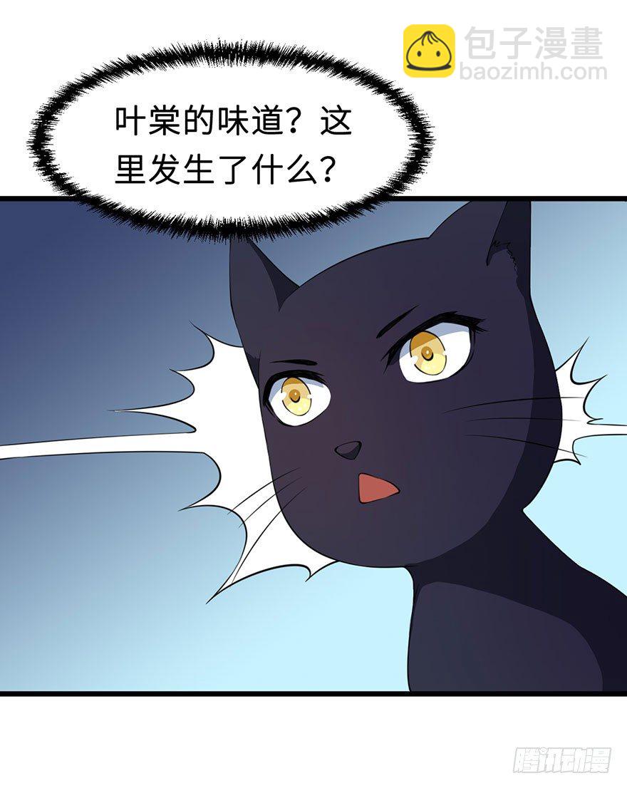 猫陛下，万岁！ - 028爱猫不爱人 - 6