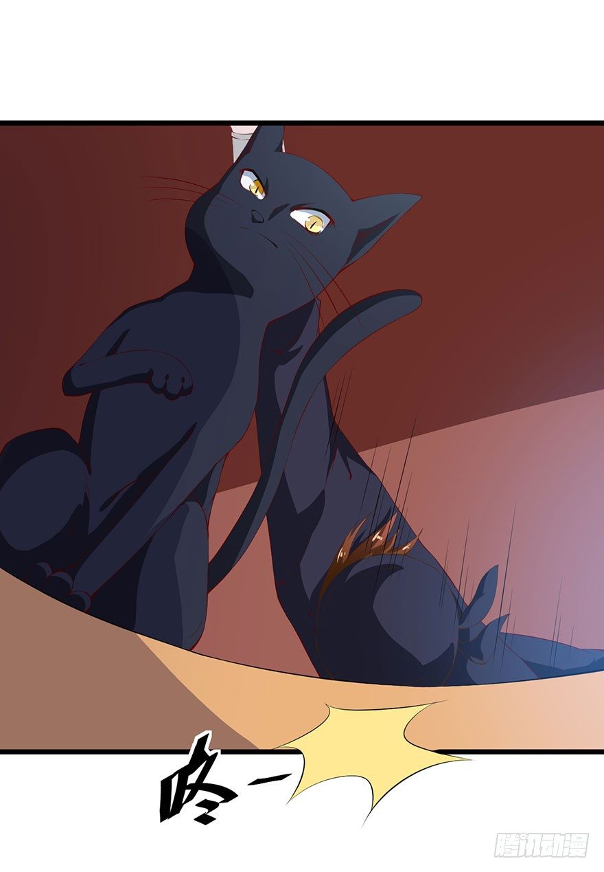 046猫爪救美-第47话