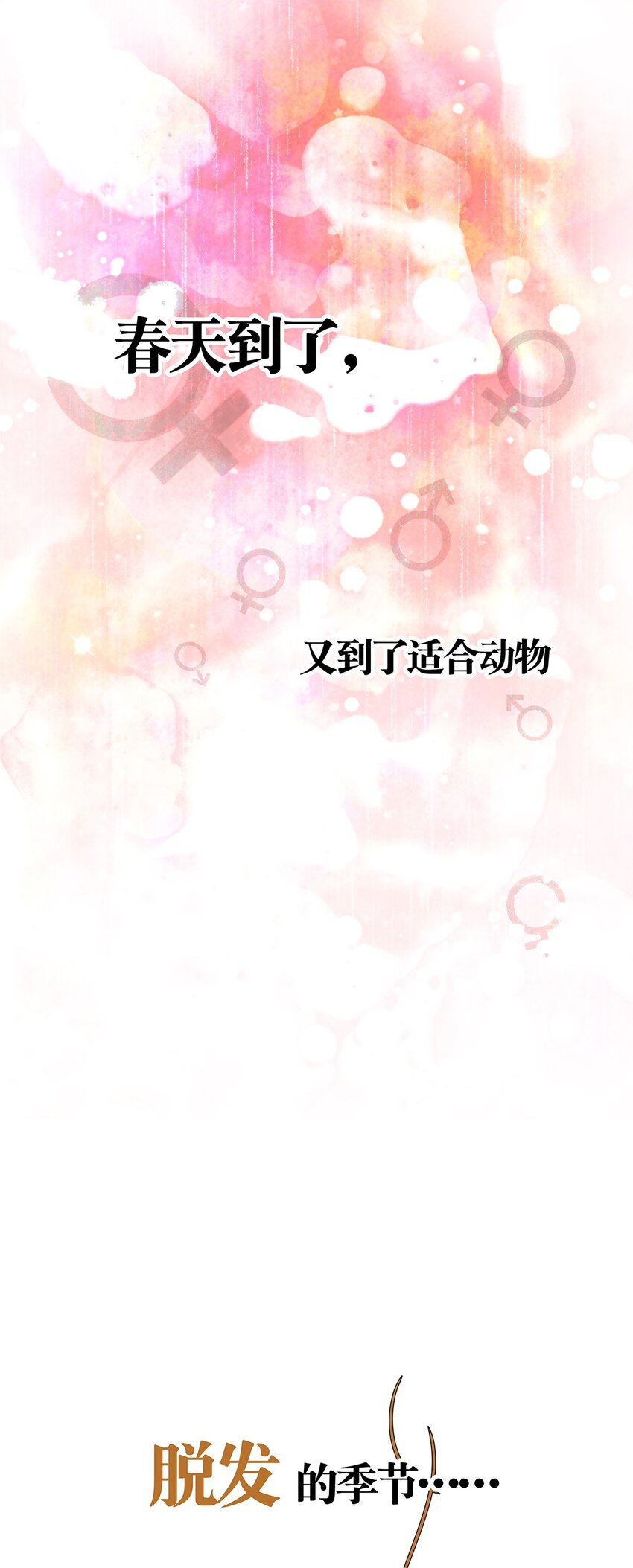 预告 掉毛的毛不密-第1话