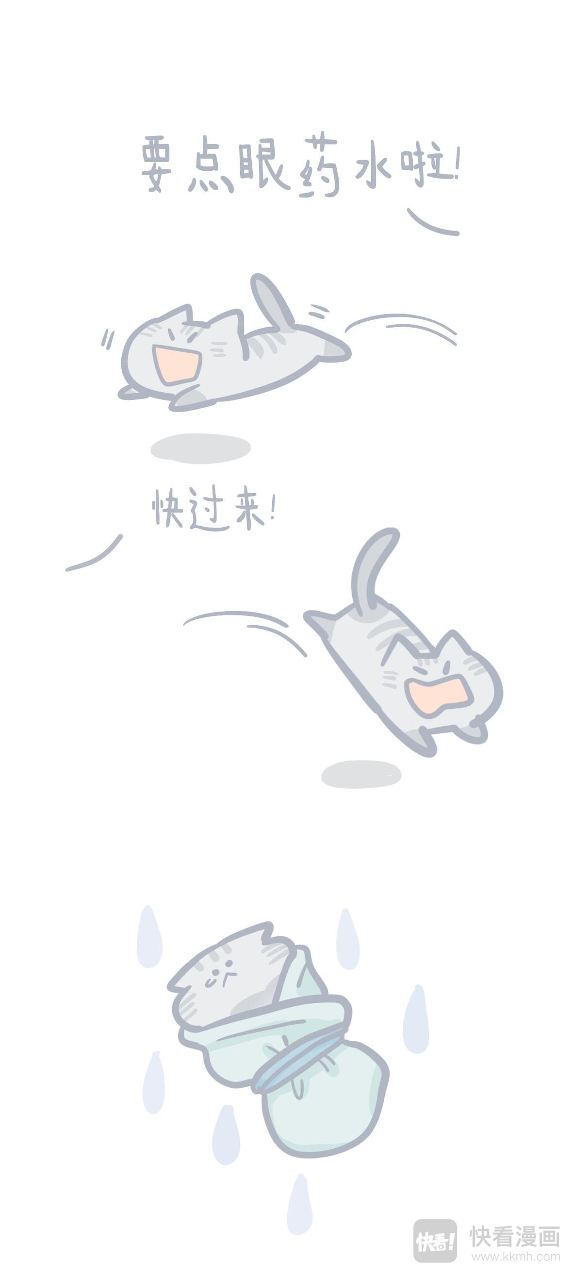 貓到底在想什麼？ - 貓糰子13 - 2