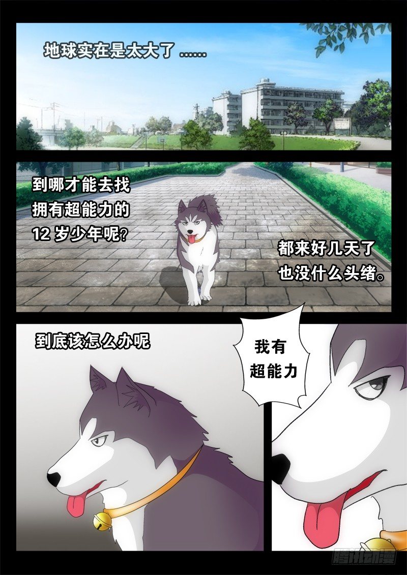 04 飞犬的任务（上）-第5话