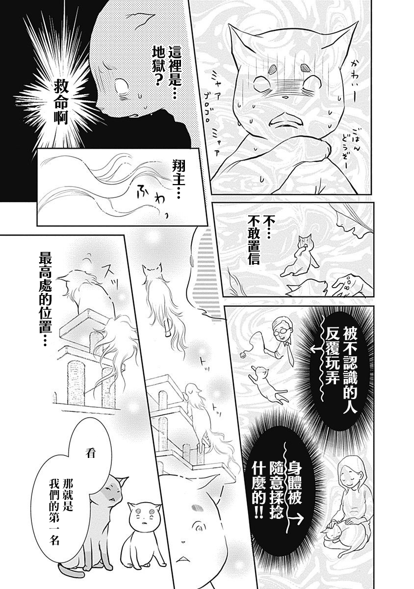 貓咖的瑪麗蓮 - 第01話 - 2