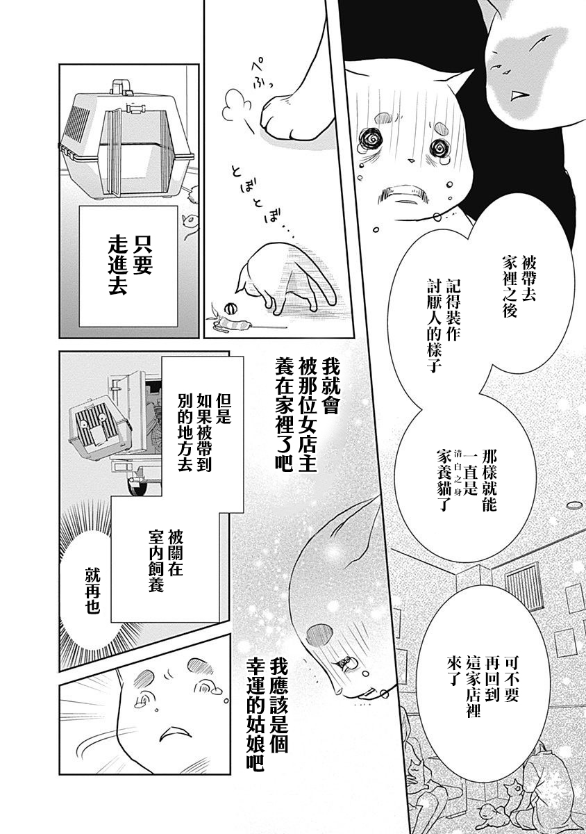 貓咖的瑪麗蓮 - 第01話 - 1