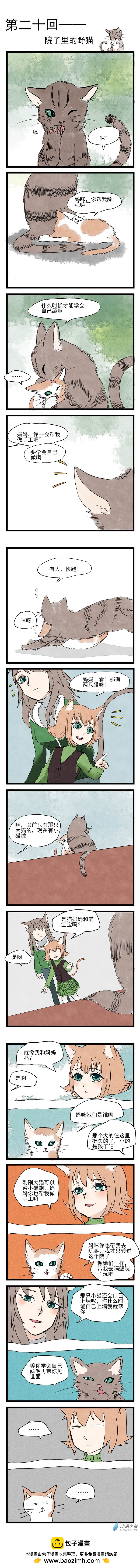 第20回 院子里的野猫-第21话
