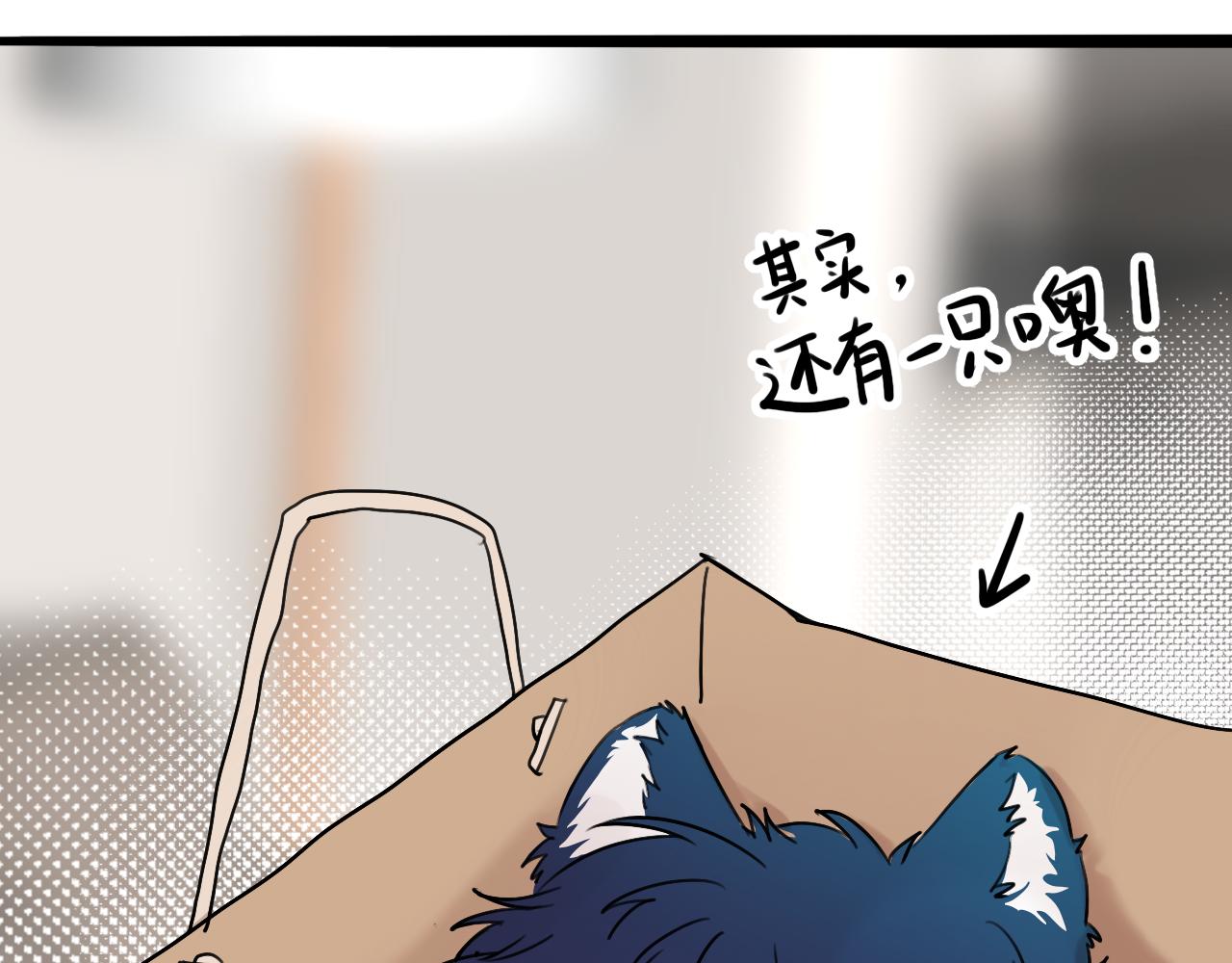 小剧场番外 猫猫玩偶(1/2)-第15话