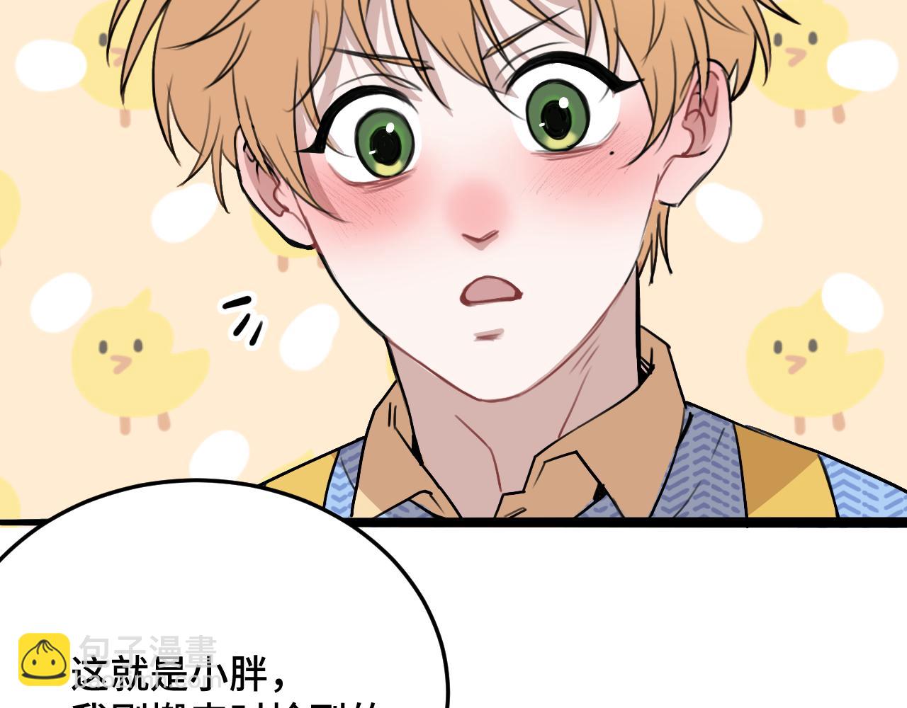 第11话 猫猫和猫猫？(1/3)-第17话