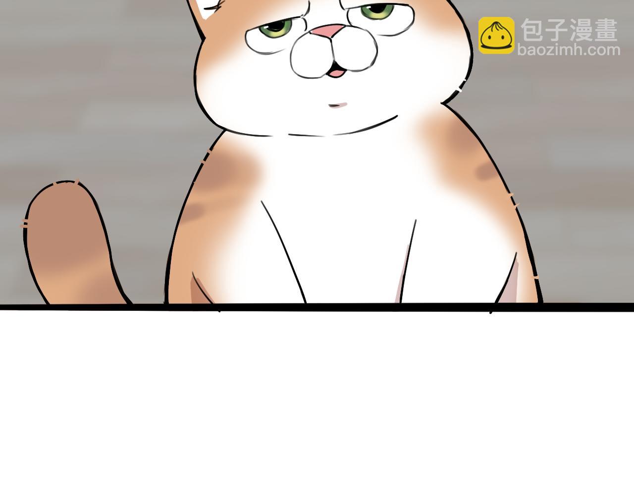 第11话 猫猫和猫猫？(1/3)-第17话