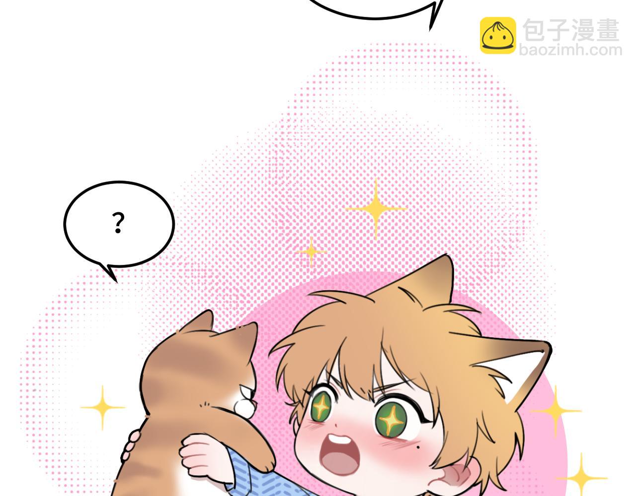 第11话 猫猫和猫猫？(1/3)-第17话