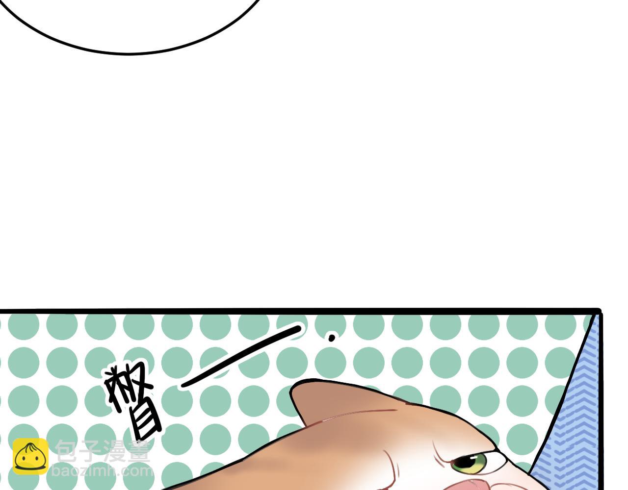 第11话 猫猫和猫猫？(1/3)-第17话