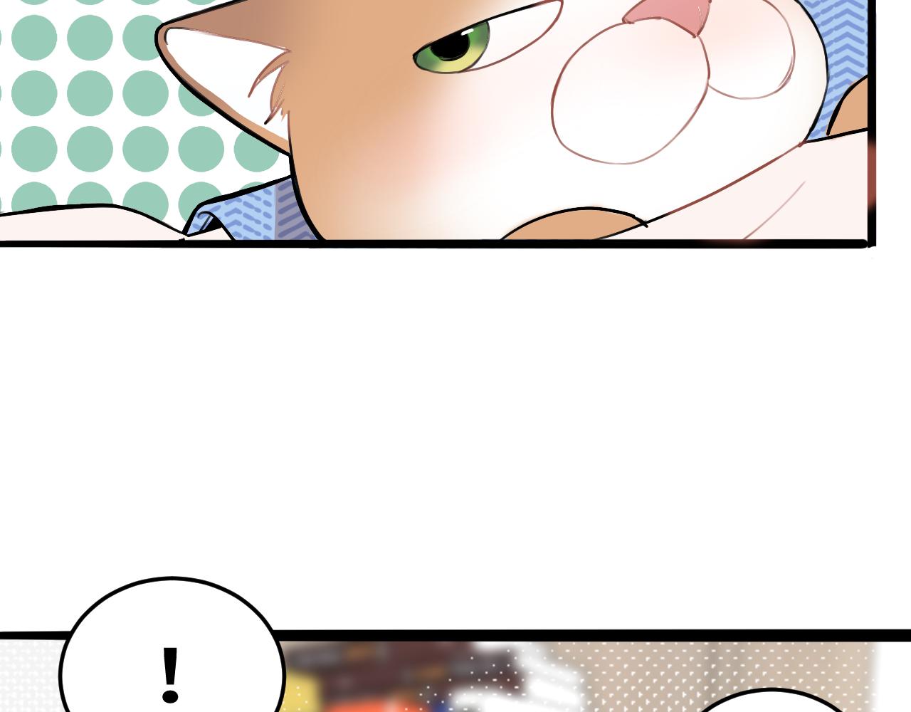 第11话 猫猫和猫猫？(1/3)-第17话