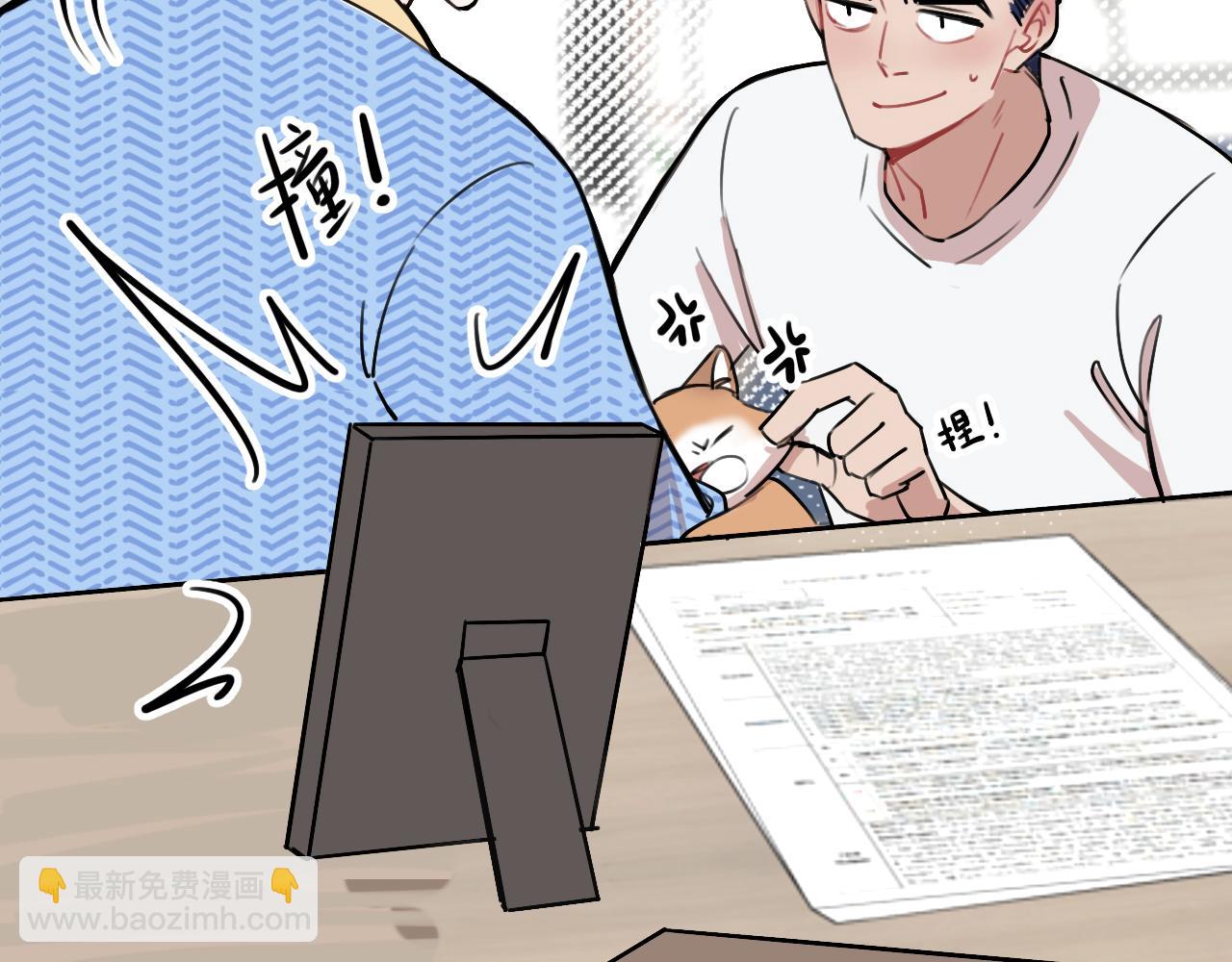 第11话 猫猫和猫猫？(1/3)-第17话