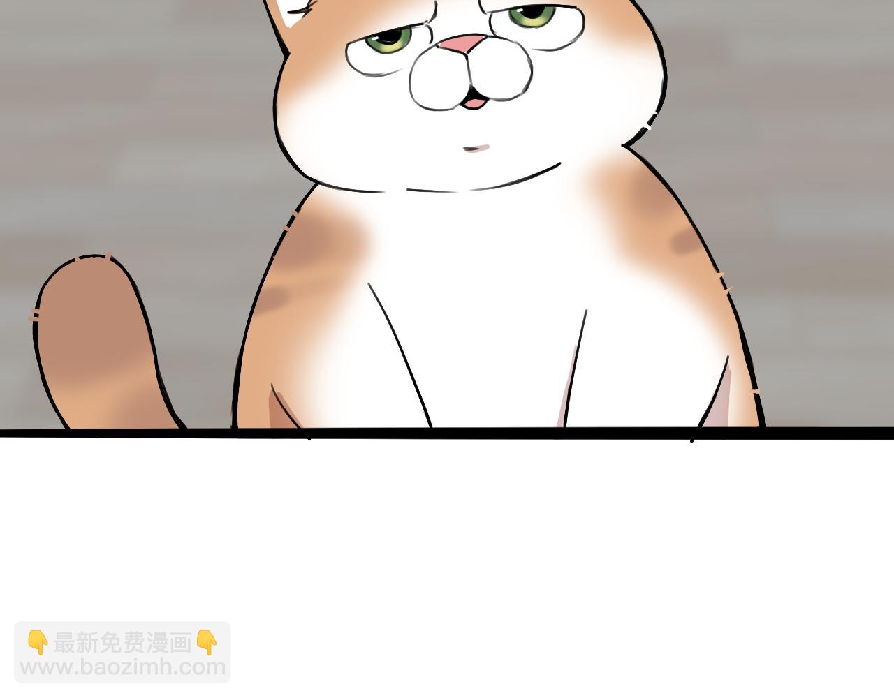 猫猫和猫猫？(1/3)-第25话