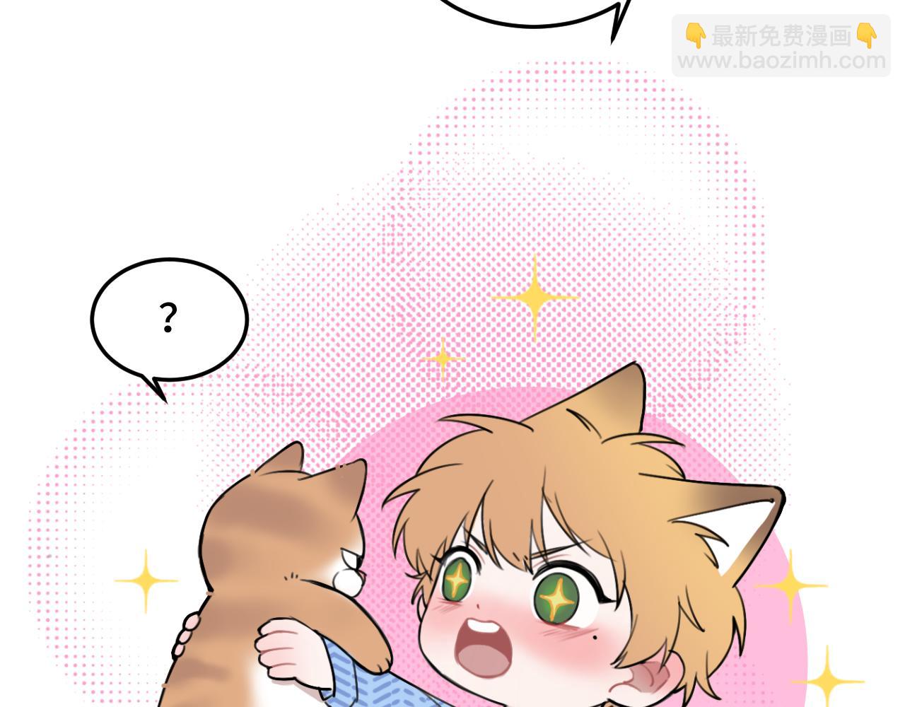 猫猫和猫猫？(1/3)-第25话