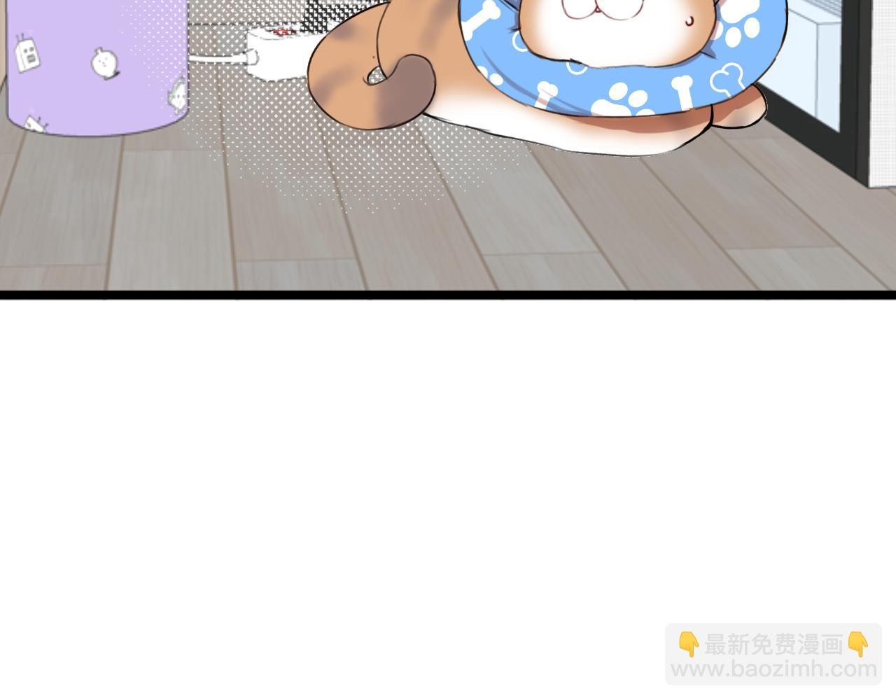 第15话 不许凶猫猫！(1/3)-第21话