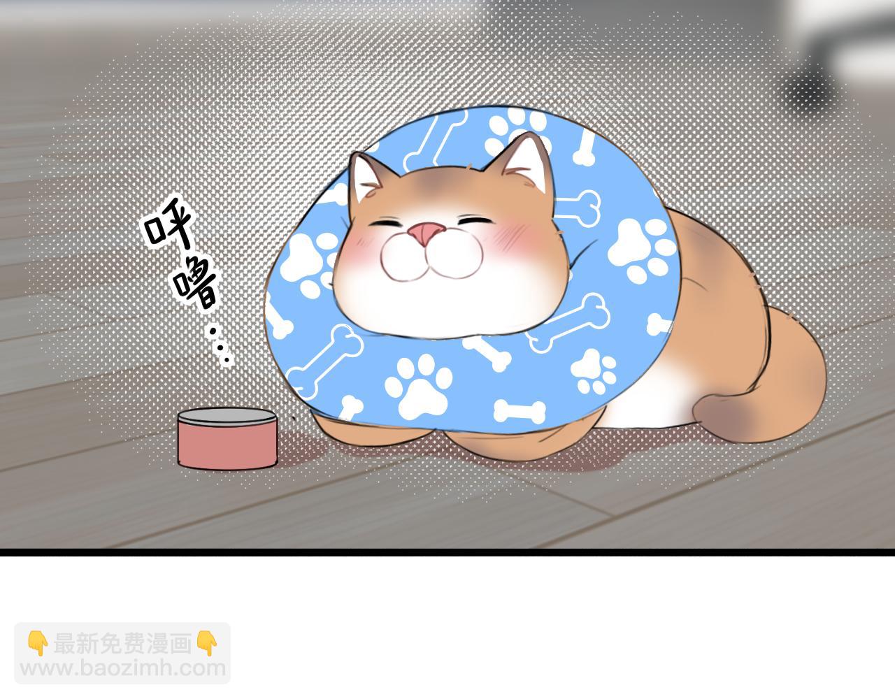 第15话 不许凶猫猫！(1/3)-第21话
