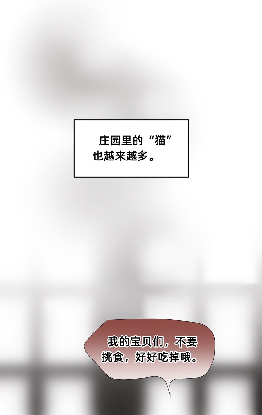 08 成为猫（中）(1/3)-第11话