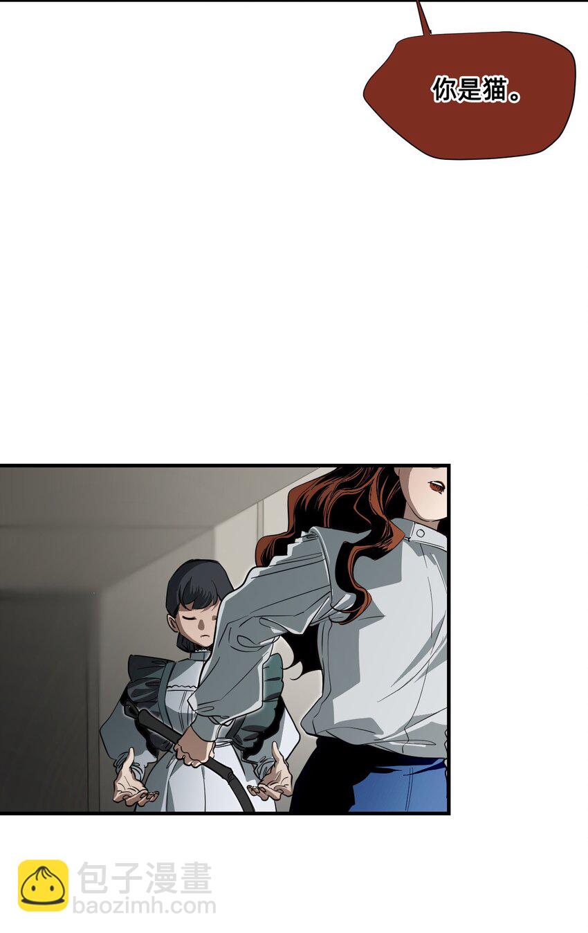 08 成为猫（中）(1/3)-第11话