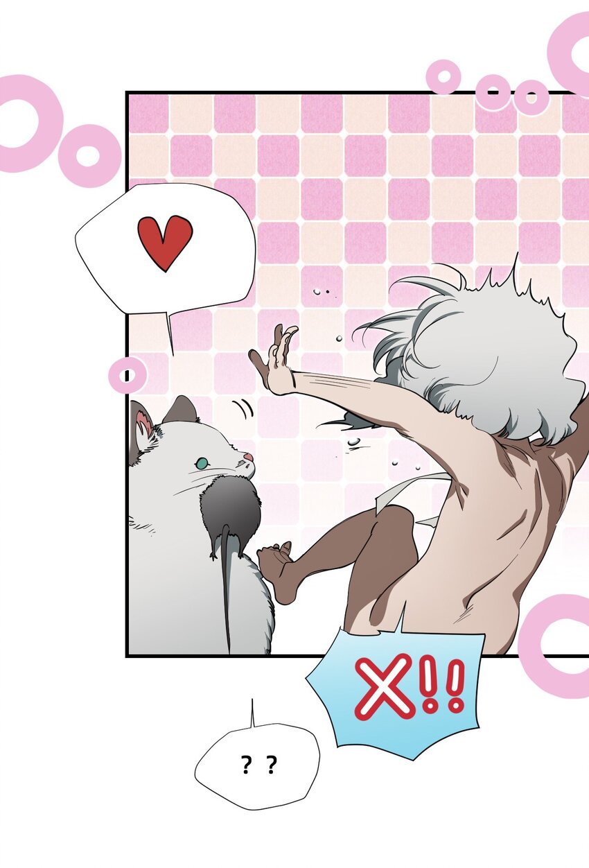 08 成为猫（中）(1/3)-第11话