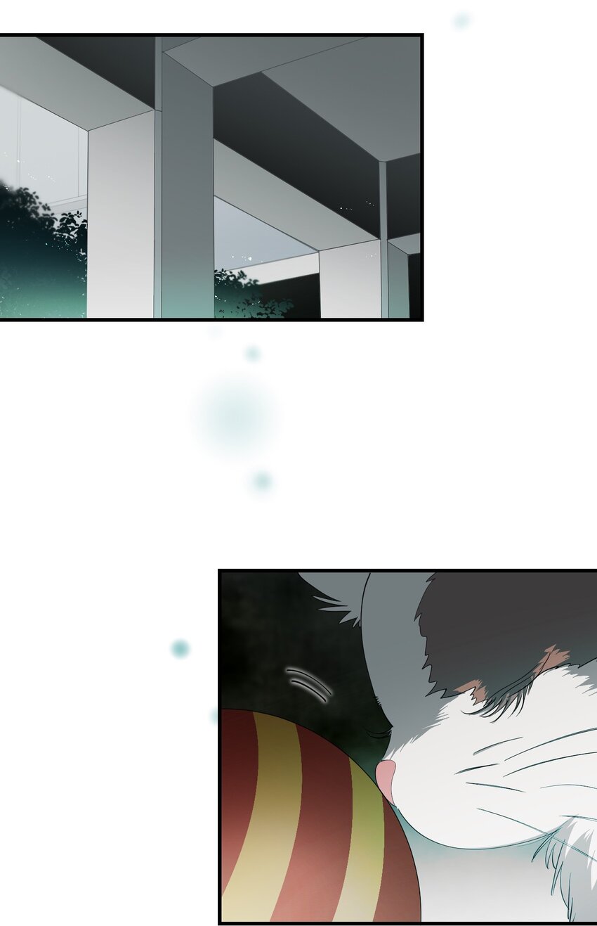 11 成为猫（上）(1/2)-第35话