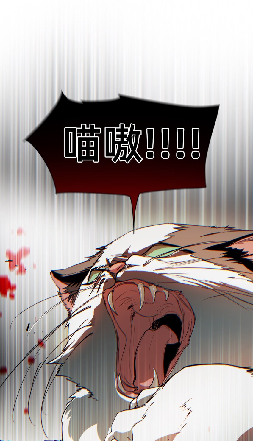 13 成为猫（下）+卷间休息(1/2)-第37话