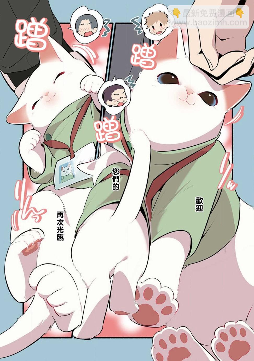 猫咪按摩师 - 15话 - 2