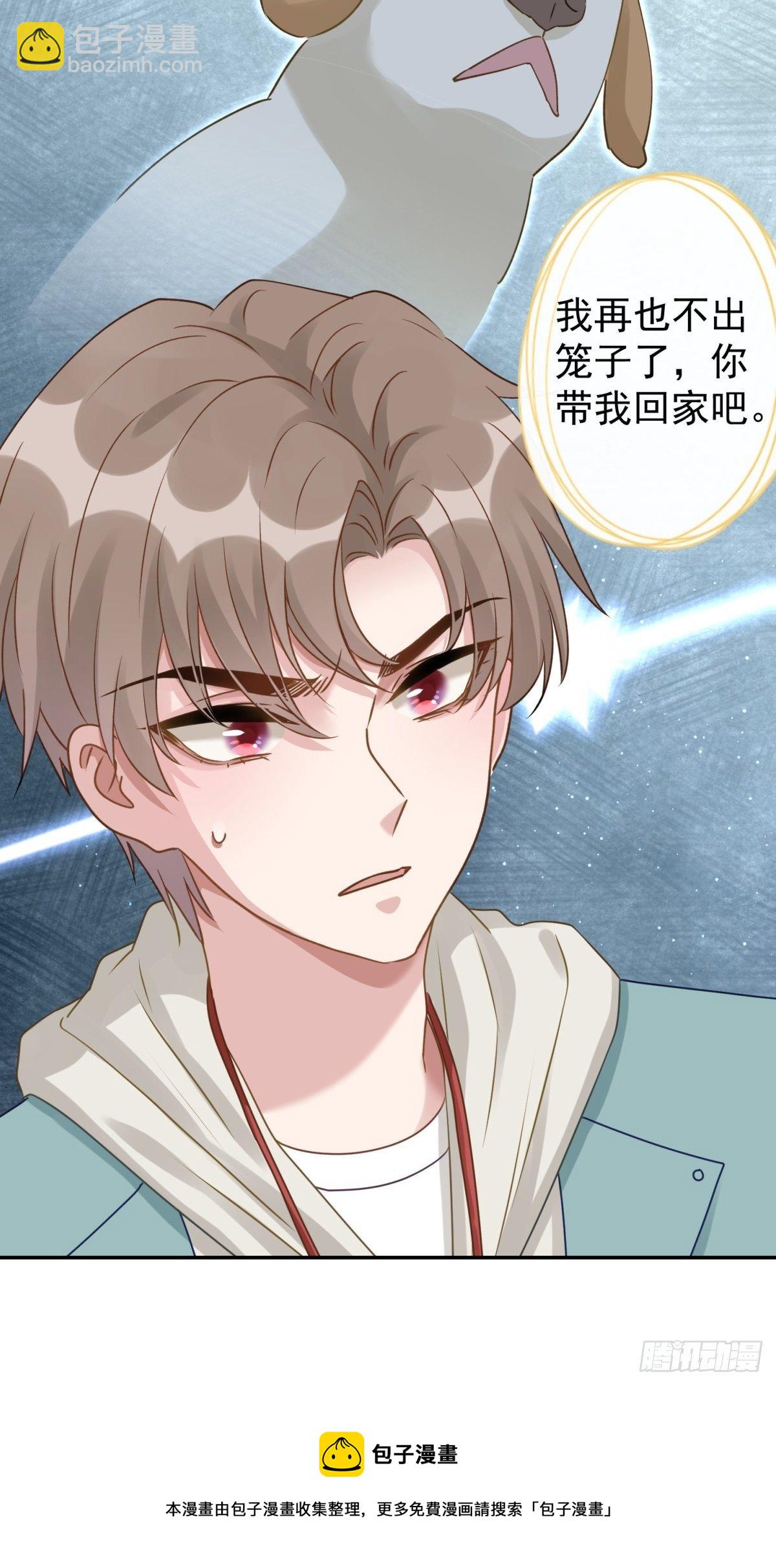 28 我怕你被人欺负了(1/2)-第29话