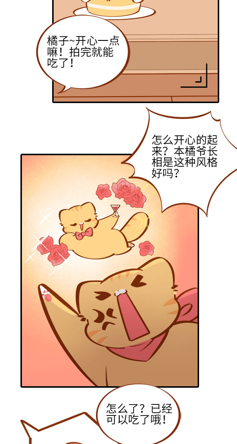 貓咪的人類飼養指南 - 第33話 許個願吧~ - 3