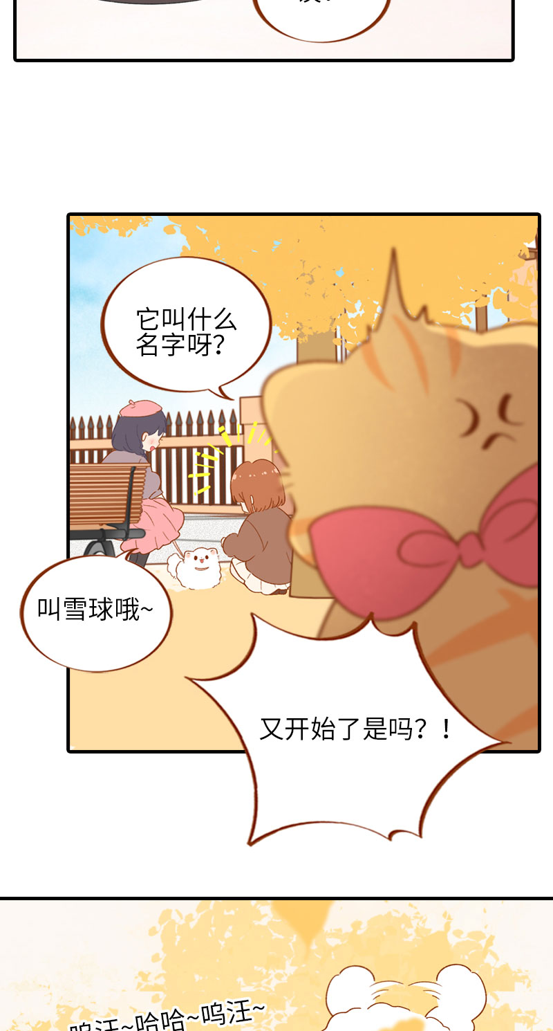 貓咪的人類飼養指南 - 第47話 與雪球的第一次相遇 - 2