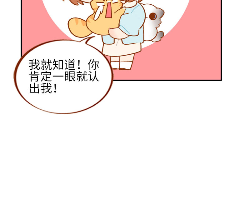 貓咪的人類飼養指南 - 第51話 橘爺我不會被命運打敗！ - 1