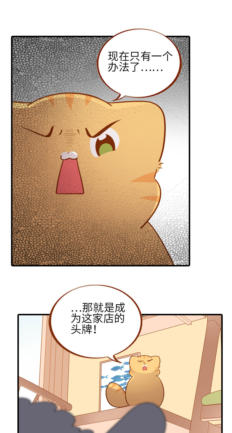 貓咪的人類飼養指南 - 第51話 橘爺我不會被命運打敗！ - 2