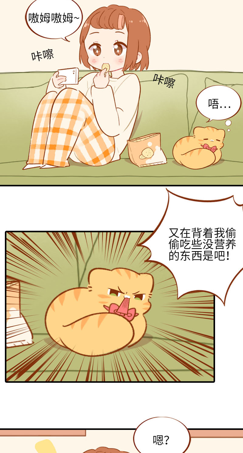 貓咪的人類飼養指南 - 第53話 貓咪翻譯機 - 2