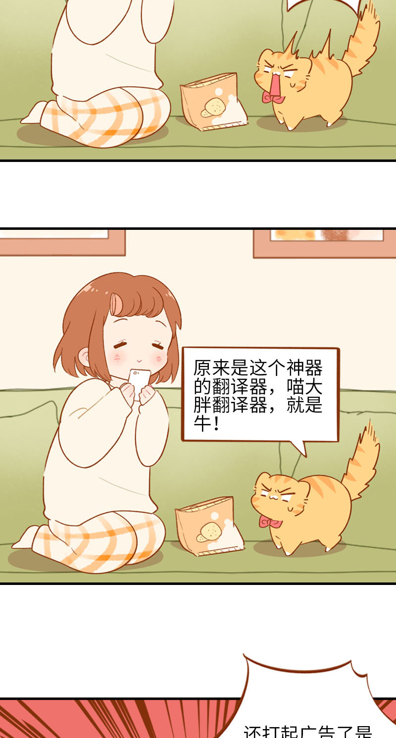 貓咪的人類飼養指南 - 第53話 貓咪翻譯機 - 3