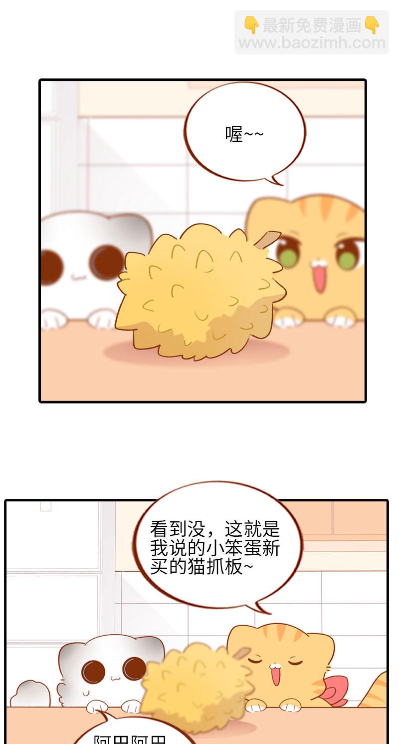 貓咪的人類飼養指南 - 第59話 來口榴蓮 - 2