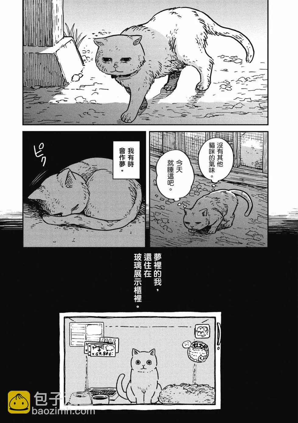貓咪好夥伴小圓圓和小八 - 第01卷(1/4) - 4