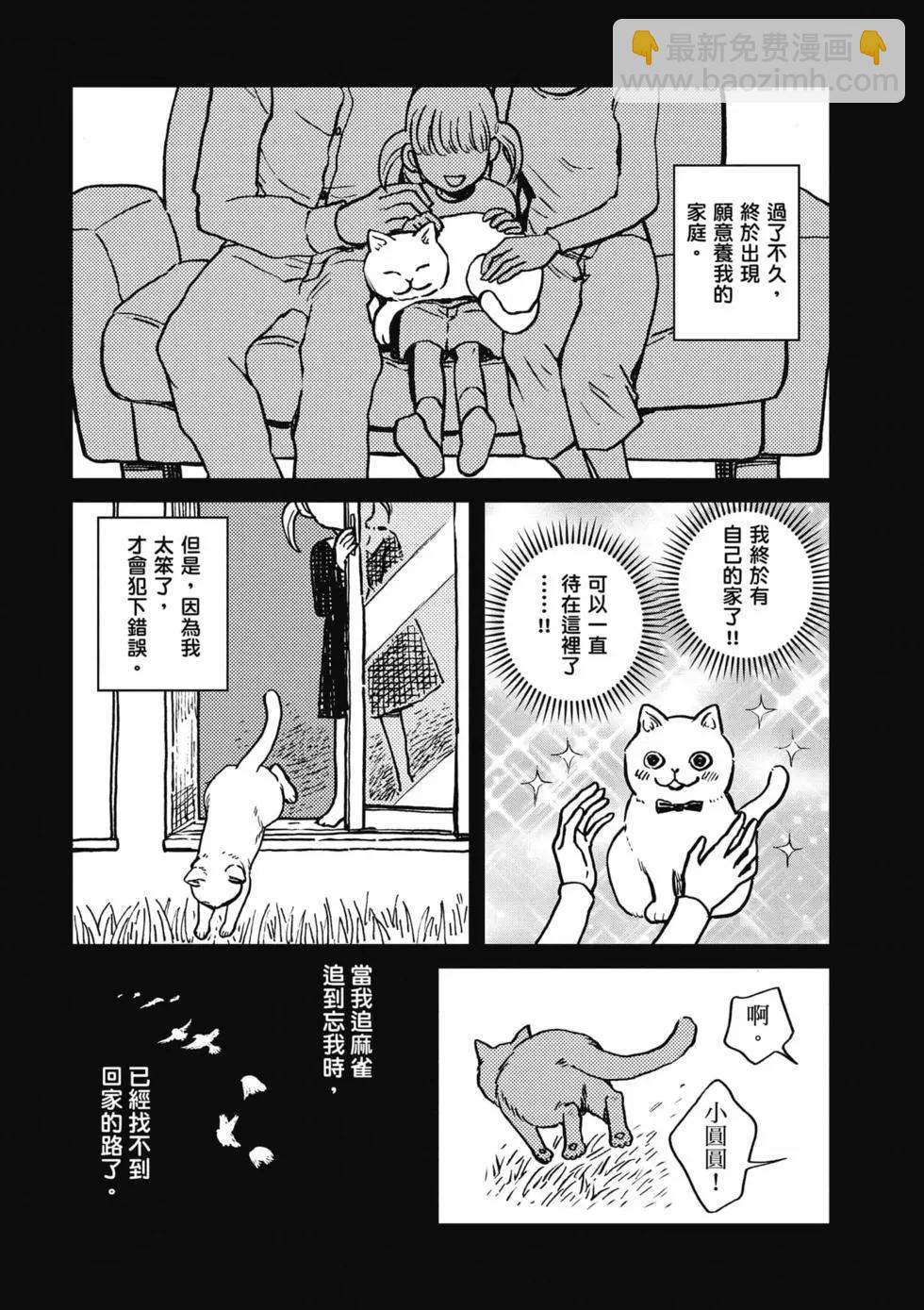 貓咪好夥伴小圓圓和小八 - 第01卷(1/4) - 6
