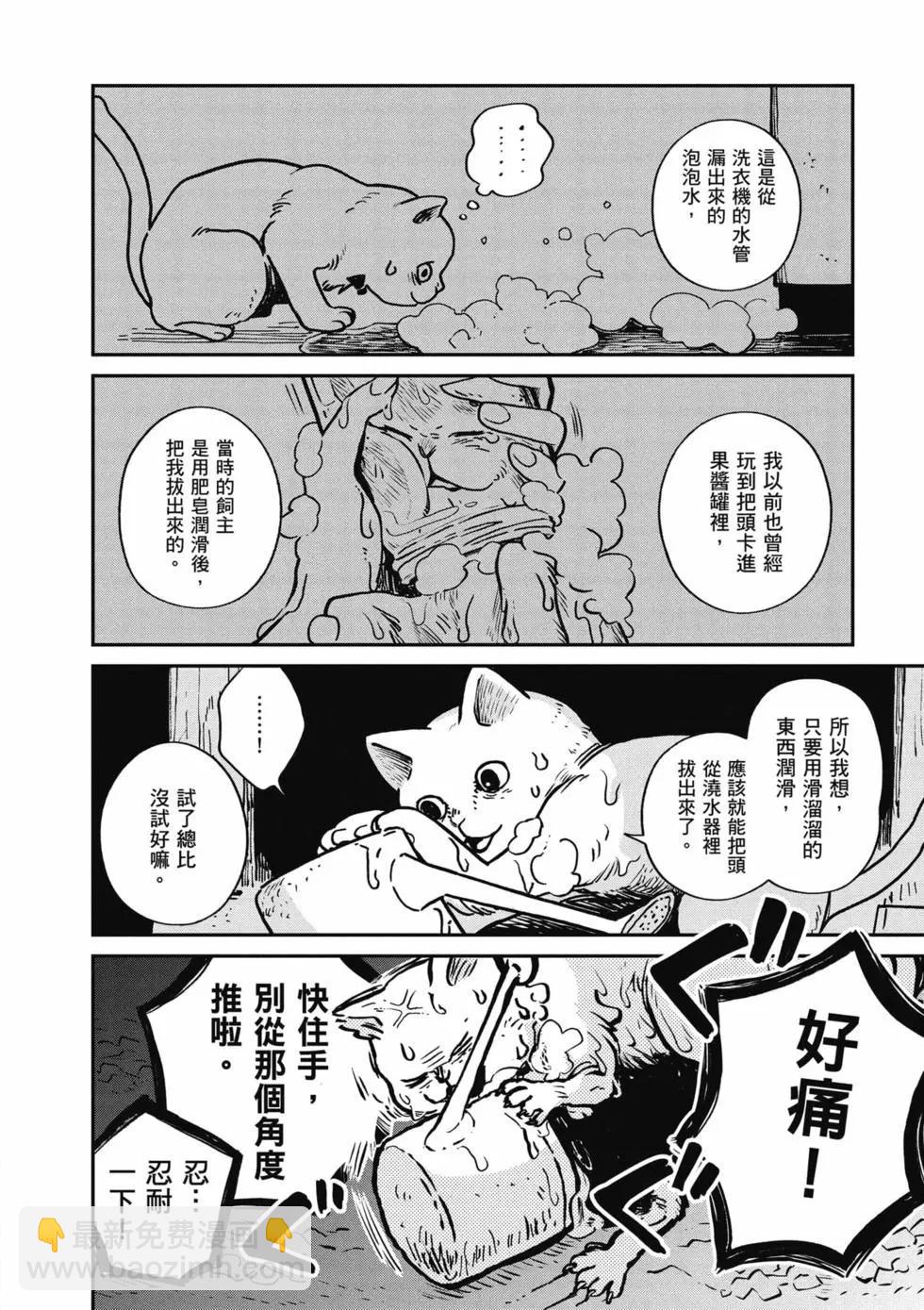 貓咪好夥伴小圓圓和小八 - 第01卷(1/4) - 3