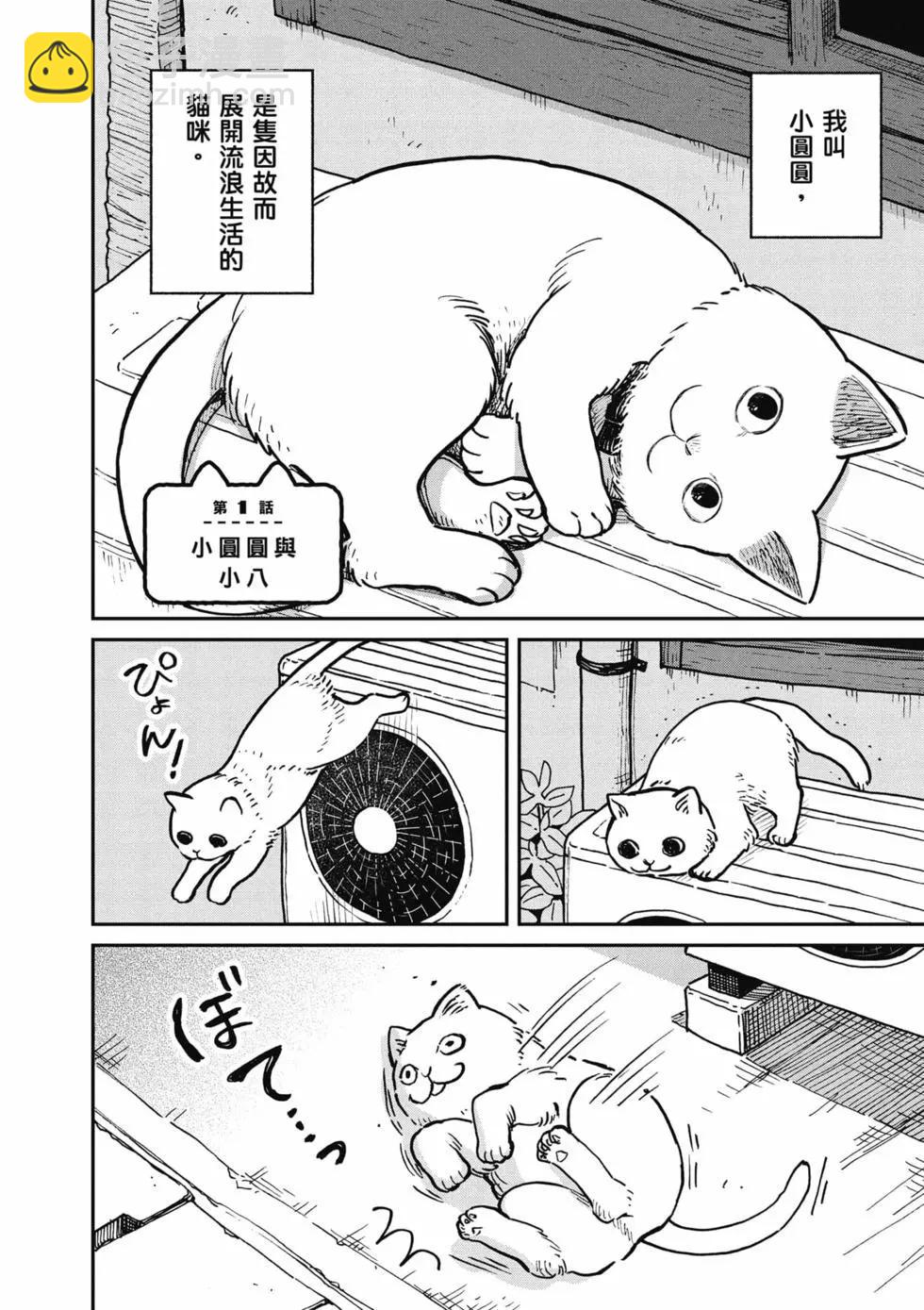貓咪好夥伴小圓圓和小八 - 第01卷(1/4) - 3