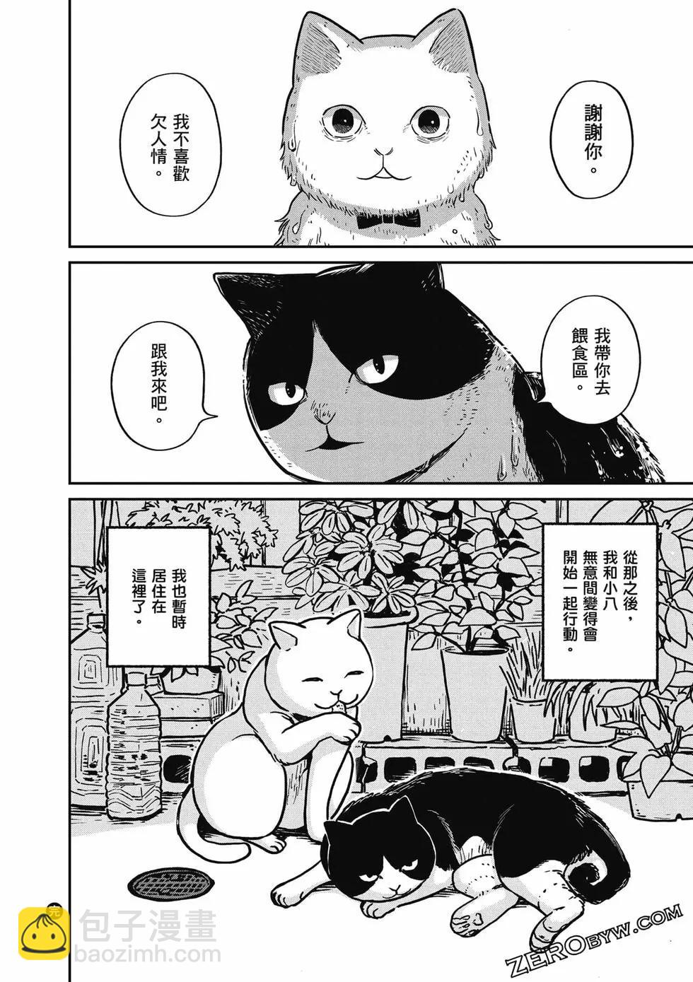 貓咪好夥伴小圓圓和小八 - 第01卷(1/4) - 7