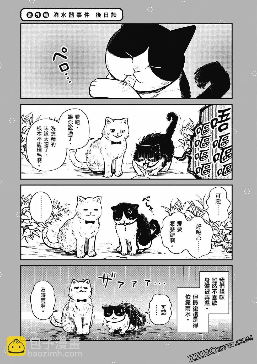 貓咪好夥伴小圓圓和小八 - 第01卷(1/4) - 8