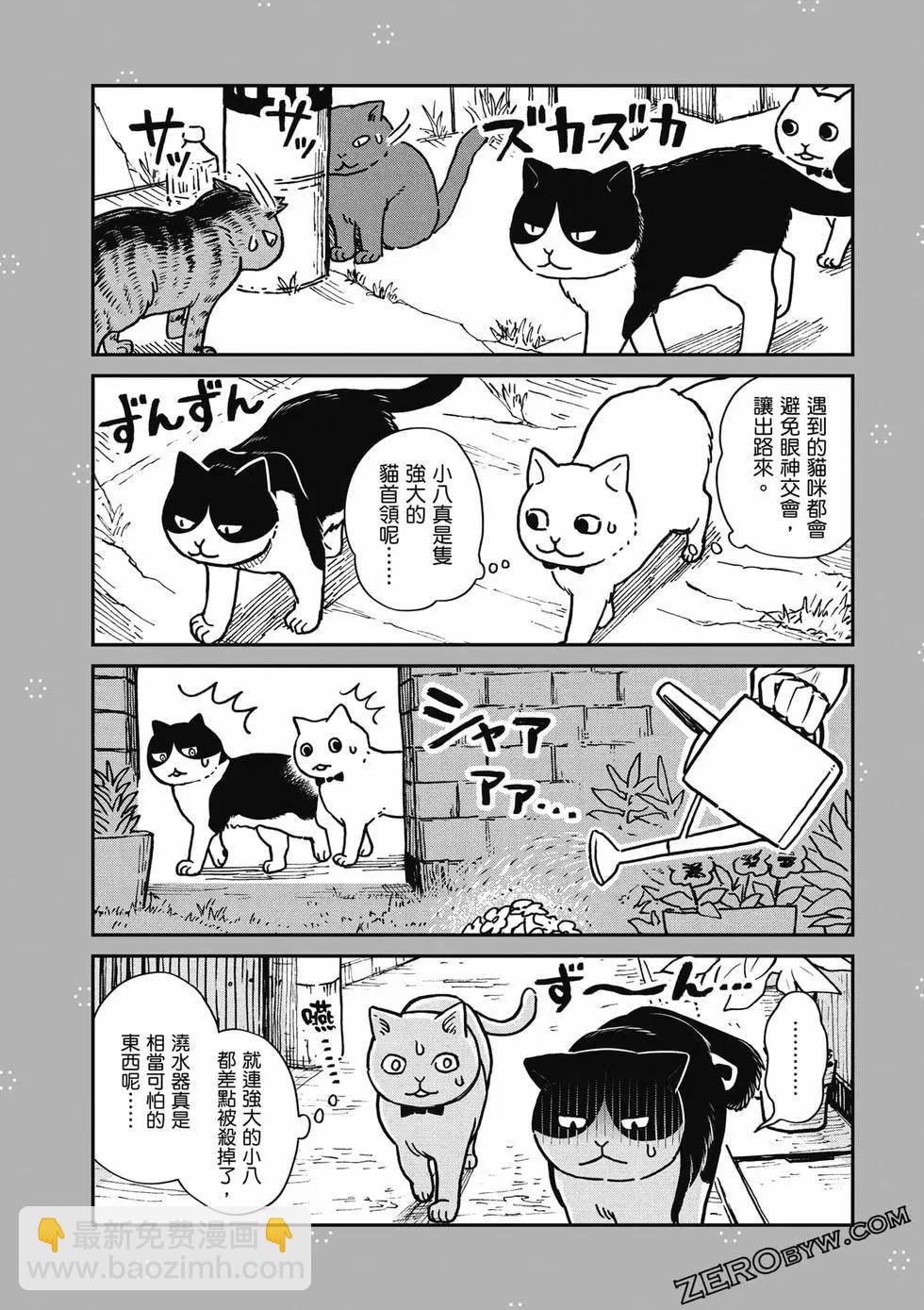 貓咪好夥伴小圓圓和小八 - 第01卷(1/4) - 1