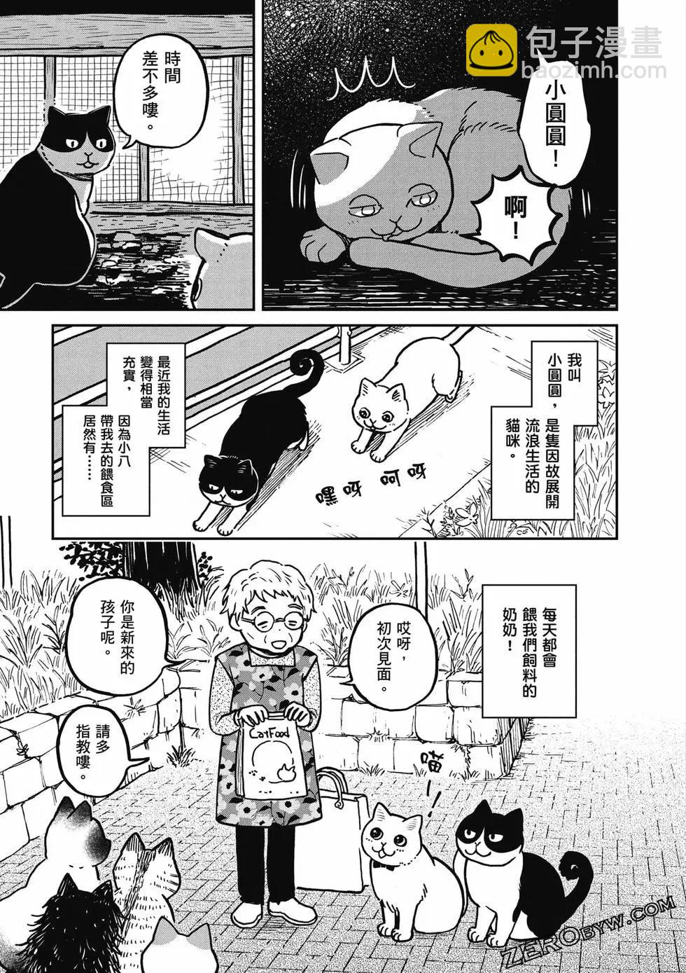 貓咪好夥伴小圓圓和小八 - 第01卷(1/4) - 4