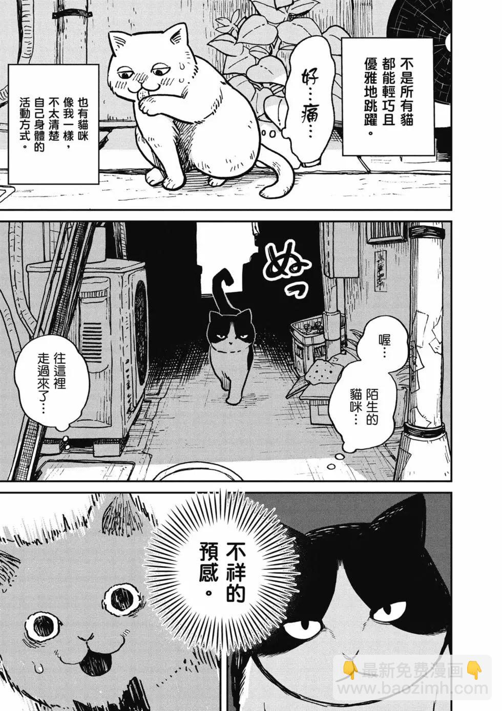 貓咪好夥伴小圓圓和小八 - 第01卷(1/4) - 4
