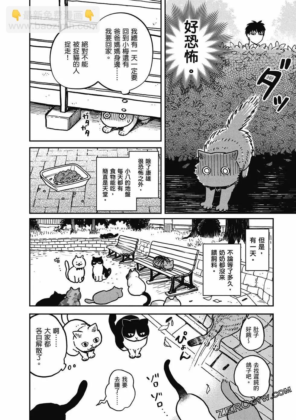 貓咪好夥伴小圓圓和小八 - 第01卷(1/4) - 1